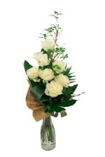 buchet-7-trandafiri-albi