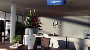 amenajari-receptii-flori-pentru-birou