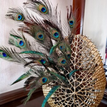 plante-decorative