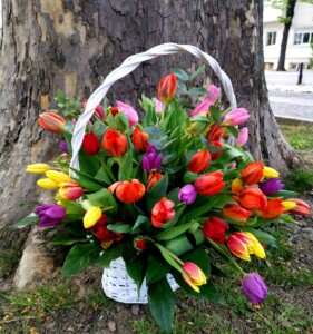 buchet-lalele