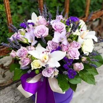 buchet-frezii-levantica