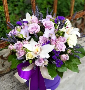 buchet-frezii-levantica