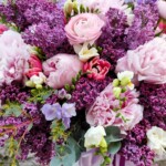 buchet-liliac