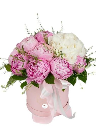 aranjamente-bujori-roz-si-hortensie-alba-floral-studio-iasi
