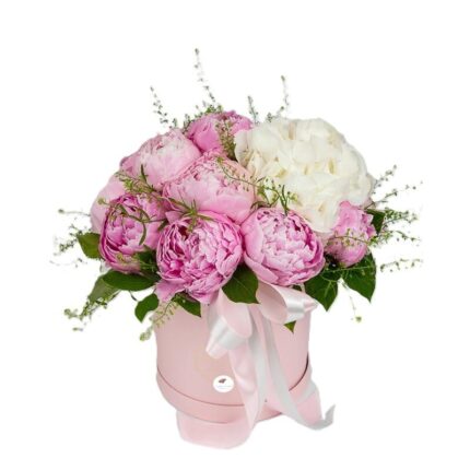 aranjamente-bujori-roz-si-hortensie-alba-floral-studio-iasi