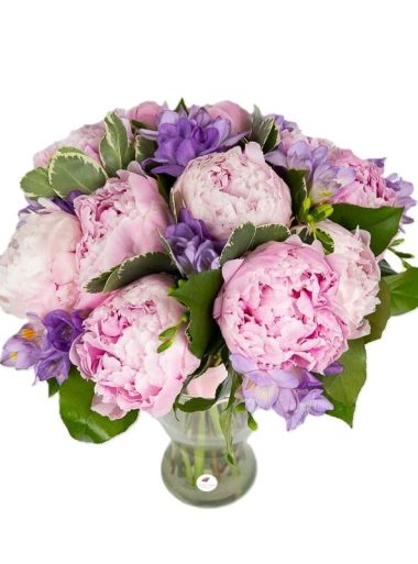 buchet-bujori-roz-si-frezii-mov-floral-studio-iasi