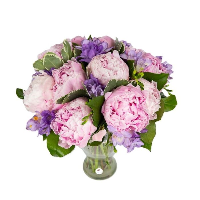 buchet-bujori-roz-si-frezii-mov-floral-studio-iasi