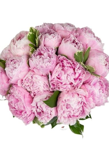 buchet-de-bujori-roz-floral-studio-iasi