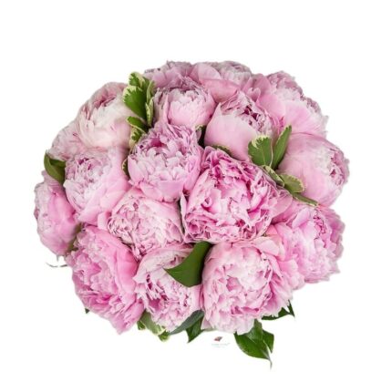 buchet-de-bujori-roz-floral-studio-iasi