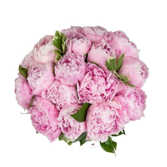 buchet-de-bujori-roz-floral-studio-iasi