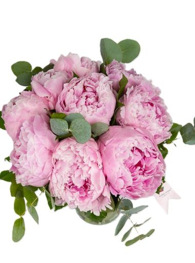 buchet-de-bujori-roz-si-eucalipt-floral-studio-iasi