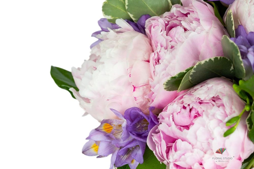 bujori-roz-si-frezii-mov-floral-studio-iasi
