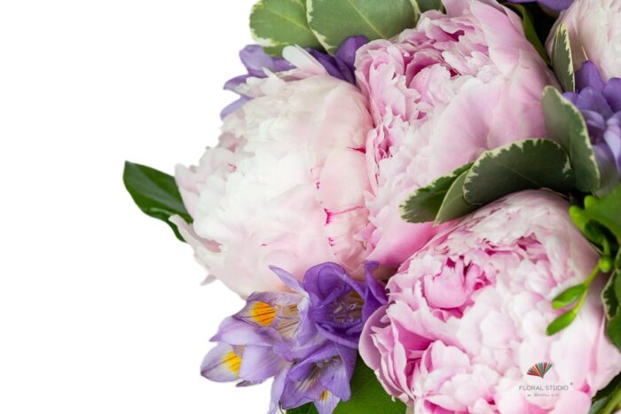 bujori-roz-si-frezii-mov-floral-studio-iasi