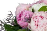 bujori-roz-si-hortensia-alba-floral-studio-iasi