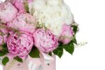bujori-roz-si-hortensie-alba-floral-studio-iasi