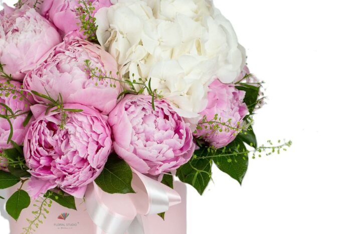 bujori-roz-si-hortensie-alba-floral-studio-iasi
