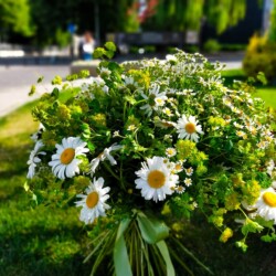 buchet-margarete-albe-floral-studio-iasi buchet-margarete-albe-floral-studio-iasi