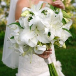 buchet-mireasa-crini-albi-orientali buchet-mireasa-crini-albi-orientali