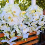 lumanari-cununie-orhidee-alba-curgatoare-floral-studio-iasi