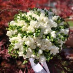 buchet-de-mireasa-frezii-albe-si-trandafiri-floral-studio-iasi