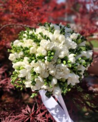 buchet-de-mireasa-frezii-albe-si-trandafiri-floral-studio-iasi