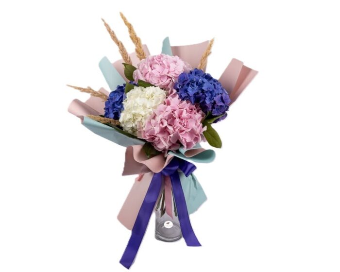 buchet-hortensii-roz-albe-albastre-floral-studio-iasi