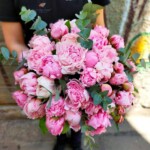 bujori-roz-buchet-floral-studio-iasi
