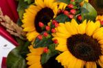 flori-de-vara-floarea-soarelui-pampas-hypericum-floral-studio-iasi
