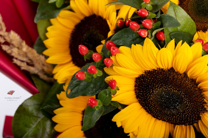 flori-de-vara-floarea-soarelui-pampas-hypericum-floral-studio-iasi