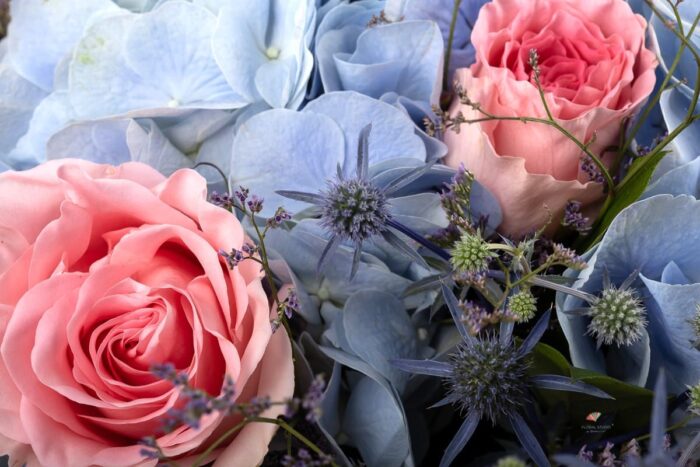 hortensii-pastelate-trandafiri-limonium-floral-studio-iasi