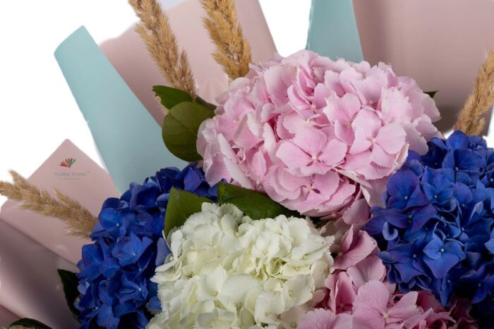 hortensii-roz-albe-albastre-floral-studio-iasi
