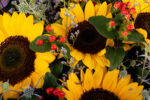zambet-de-vara-buchet-floral-studio-iasi