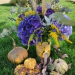 plante-decorative-exterior-toamna