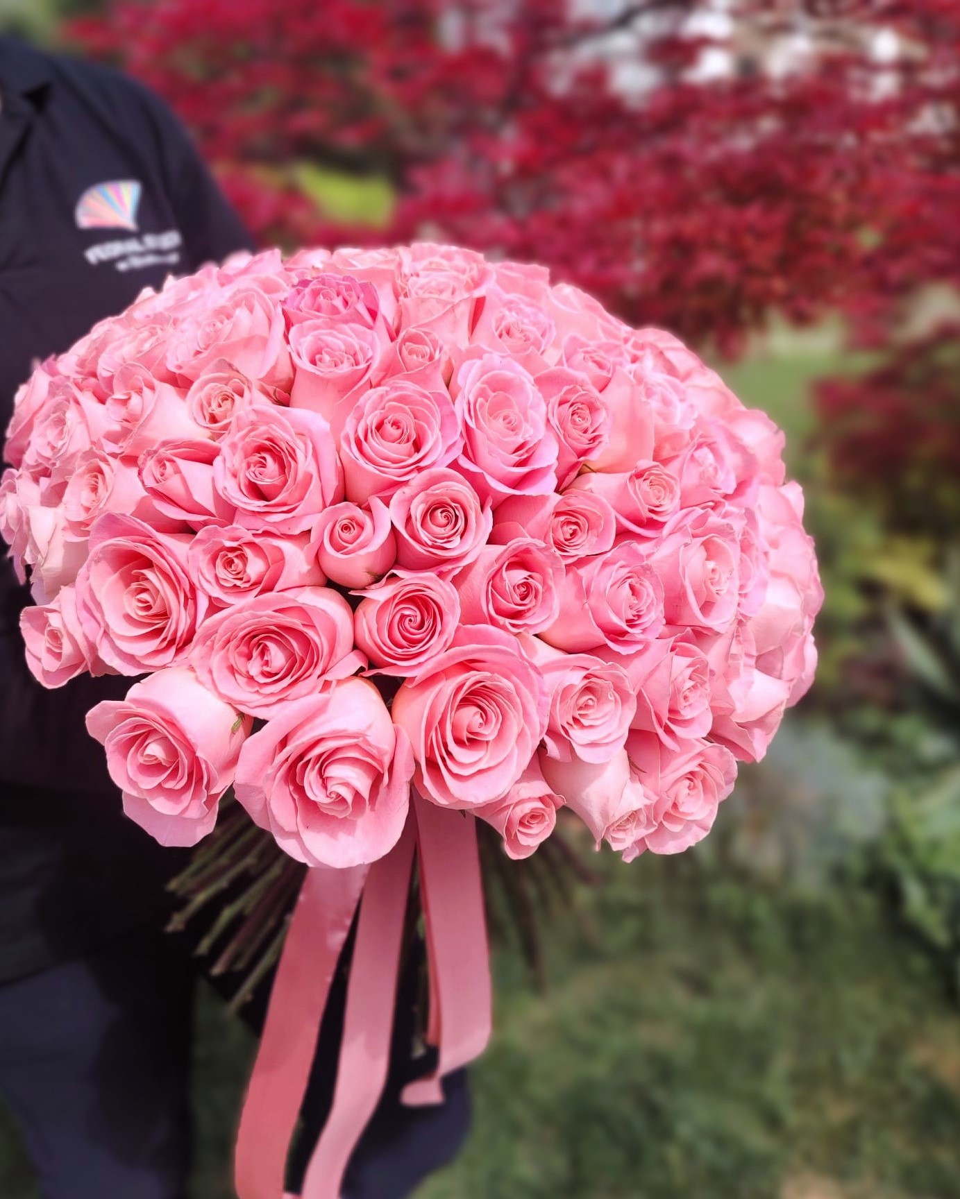 buchet-mare-trandafiri-roz-floral-studio-iasi