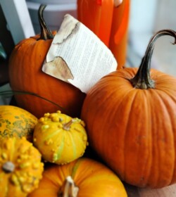 dovleci-de-halloween-floral-studio-iasi