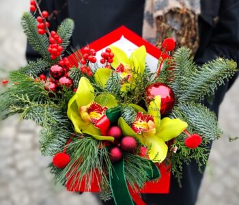 aranjament-craciun-plic-cu-orhidee-floral-studio-iasi
