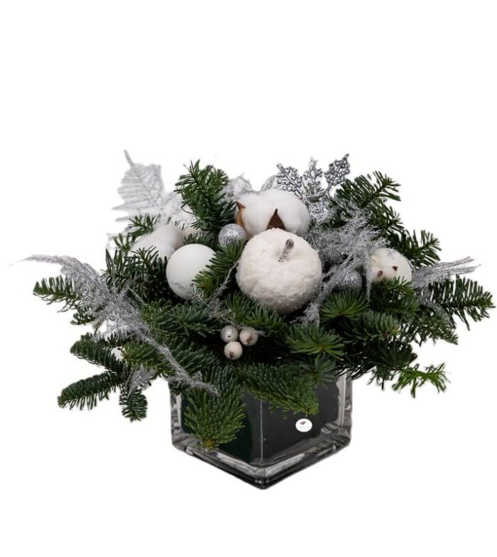 aranjament-de-iarna-cu--bumbac-floral-studio-iasi