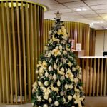 brad-de-craciun-impodobit-servicii-corporate-floral-studio-iasi
