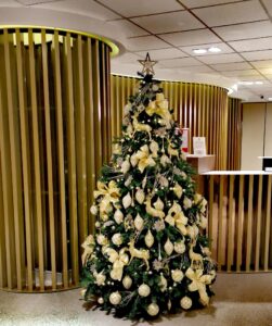brad-de-craciun-impodobit-servicii-corporate-floral-studio-iasi