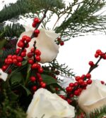 buchet-11-trandafiri-albi-ilex-floral-studio-iasi