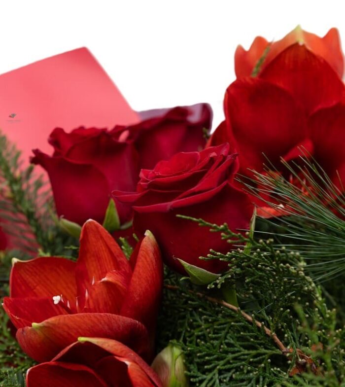 buchet-amaryllis-cu-trandafiri-rosii-floral-studioi-iasi