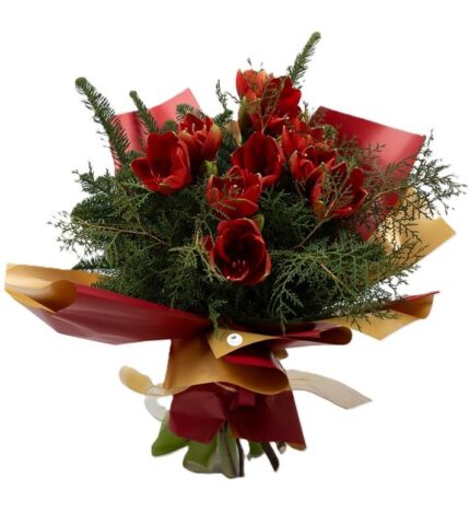 buchet-amaryllis-rosu-flori-de-iarna-floral-studio-iasi