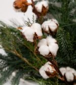 buchet-cotton-flori-de-iarna-bumbac-conifere-floral-studio-iasi
