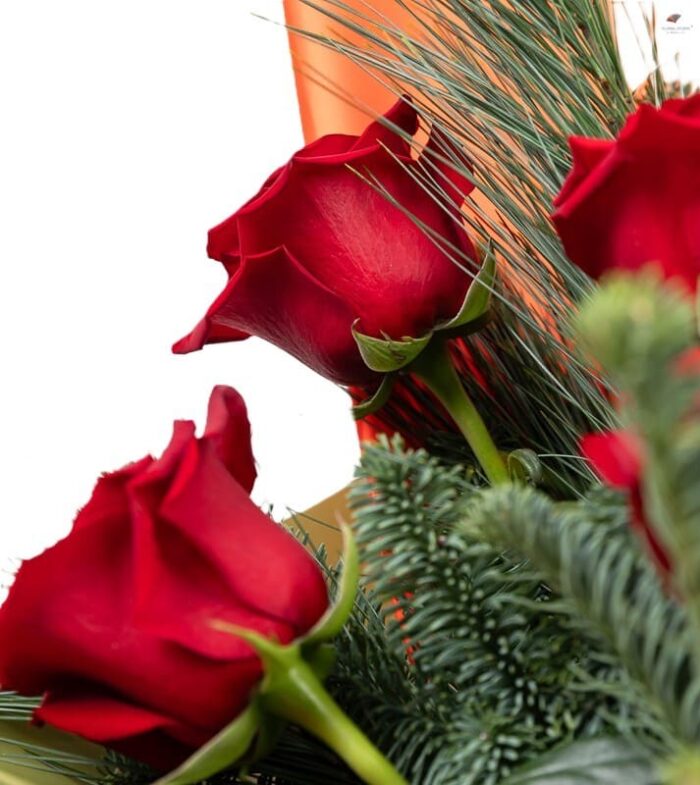 buchet-rudolf-13-trandafiri-rosii-cu-flori-de-iarna-floral-studio-iasi
