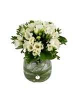 Buchet frezii albe 1