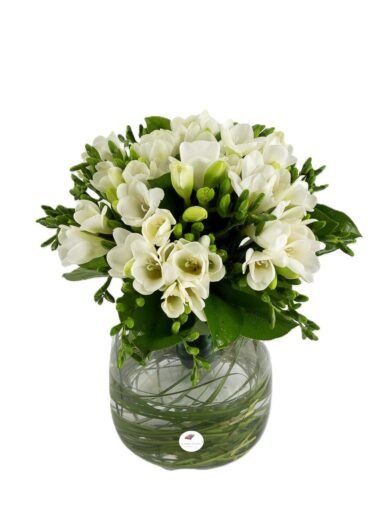 Buchet frezii albe 1