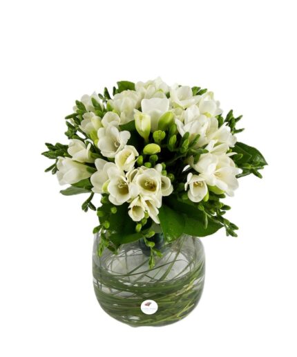 Buchet frezii albe 1