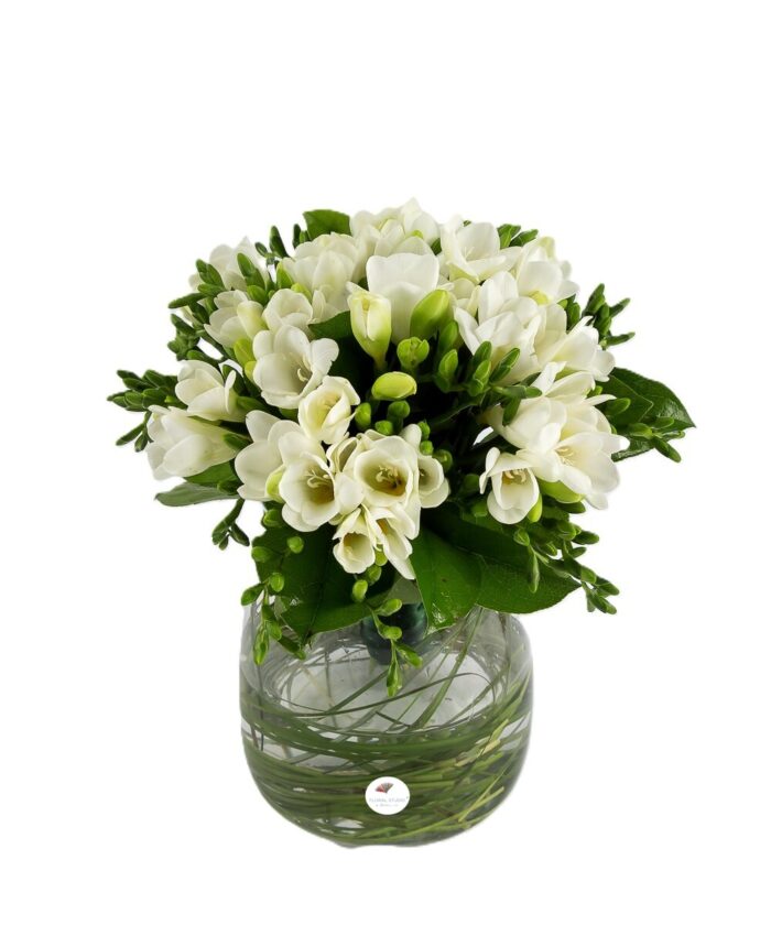 Buchet frezii albe 1