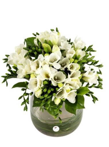 Buchet frezii albe 2