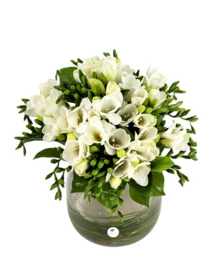 Buchet frezii albe 2